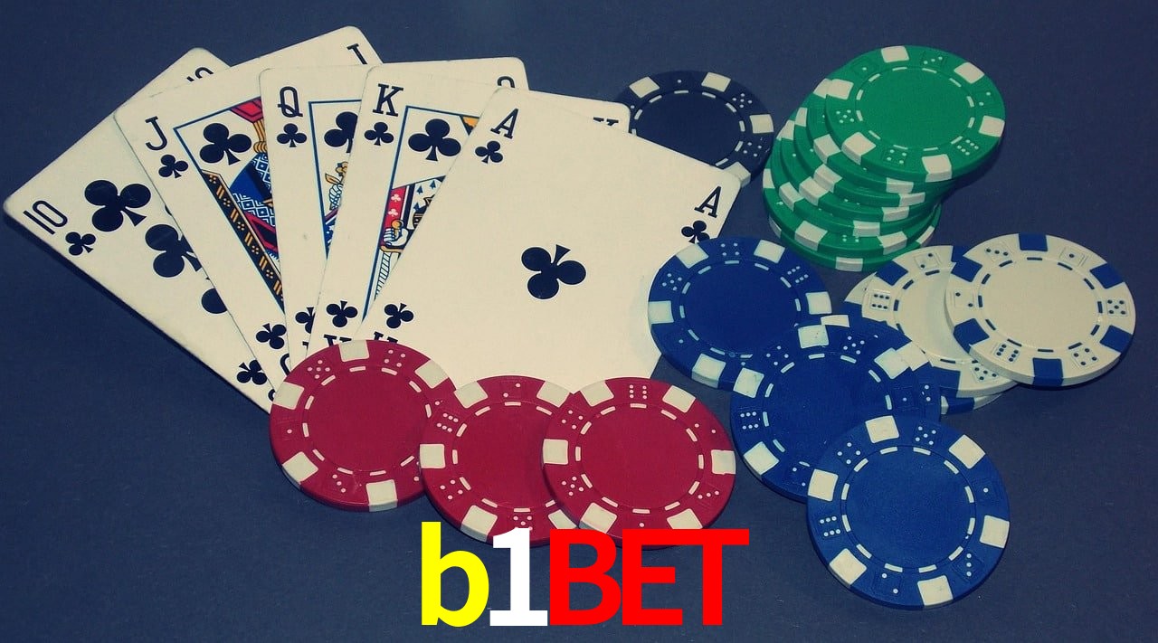 Experiência VIP b1bet